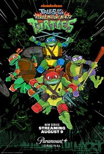 Tales of the Teenage Mutant Ninja Turtles MP4 Download